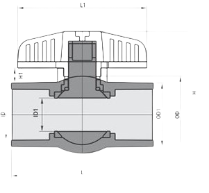 RPVC Diagram